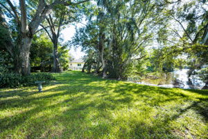 Backyard16