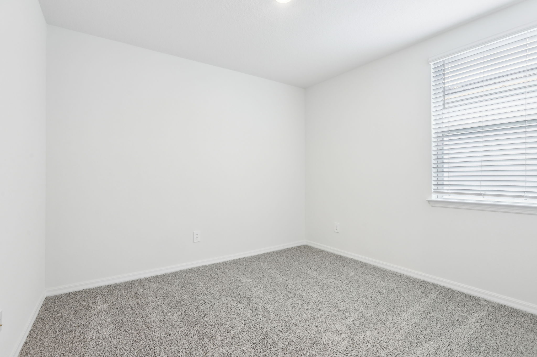 Tampa Division - Two Rivers - Lot 3017 - 1832 Draughton Drive, Zephyrhills, FL 33541 - 036