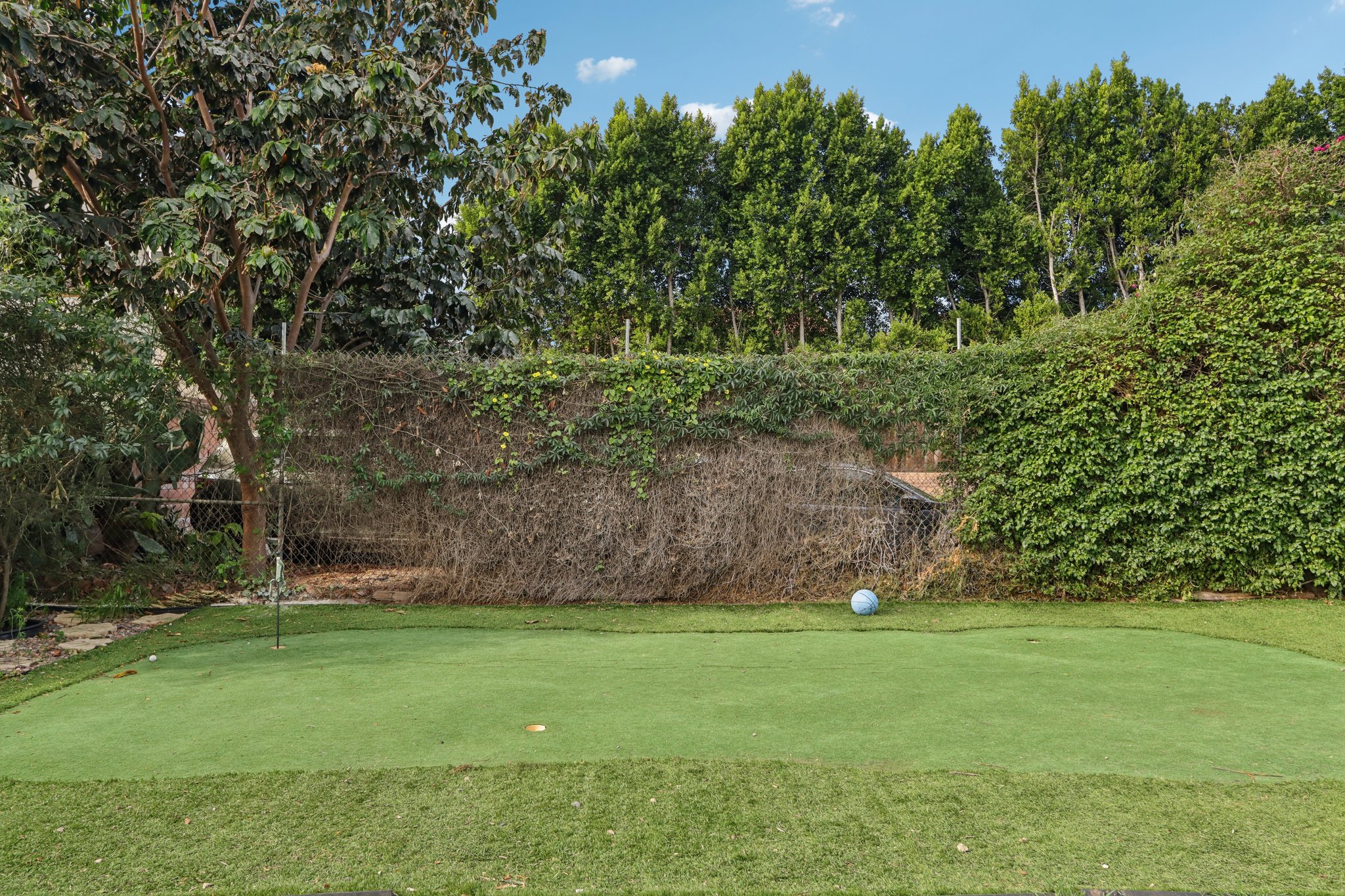 Ingomar St-S0602-039.jpg