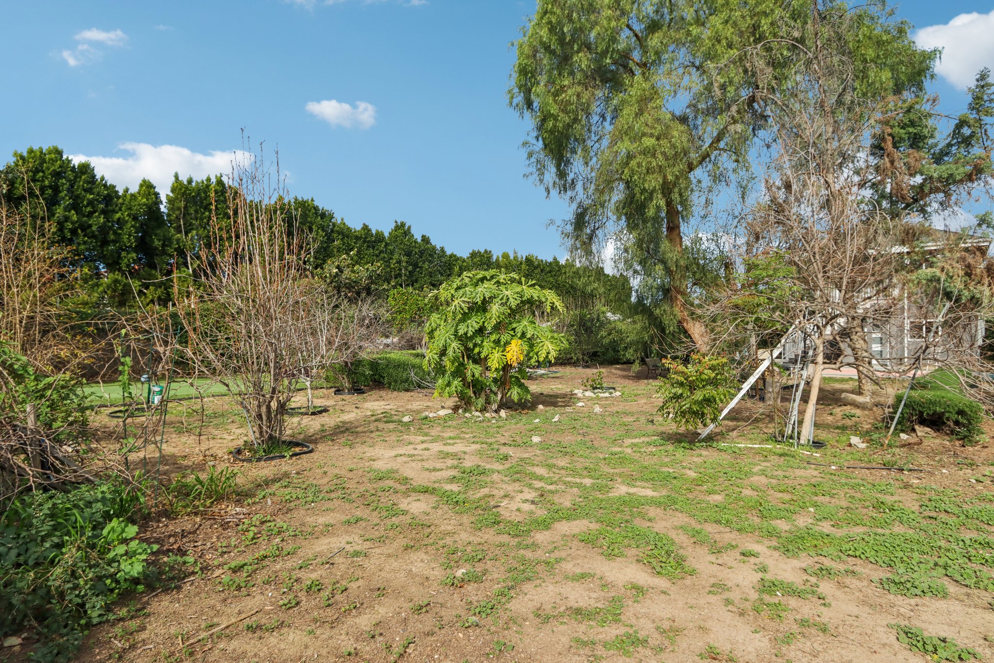 Ingomar St-S0602-040.jpg