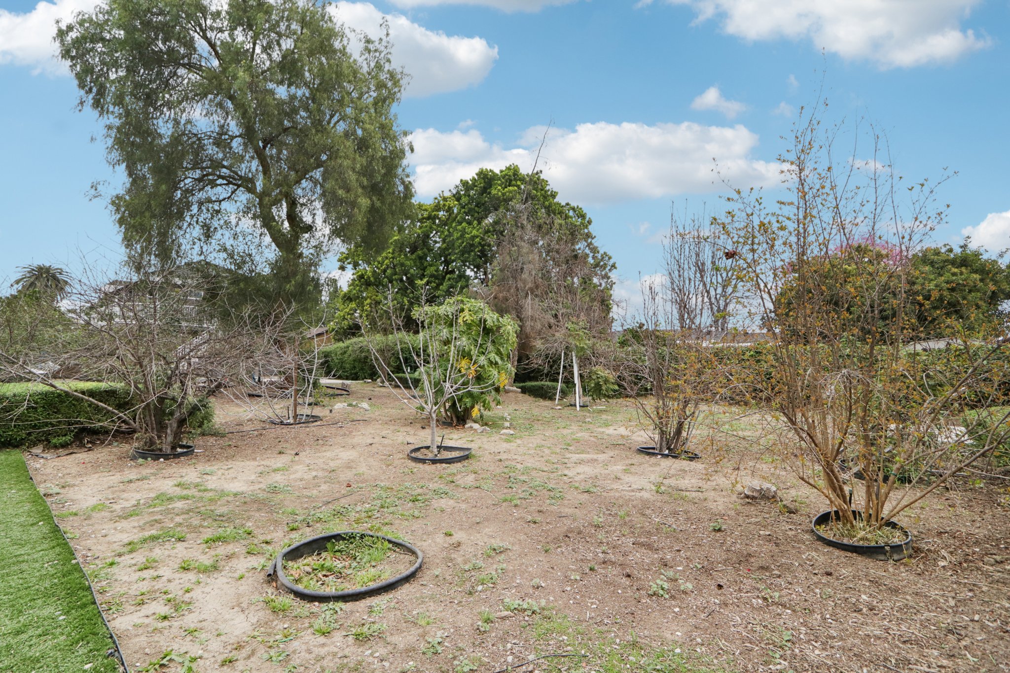 Ingomar St-S1102-008.jpg