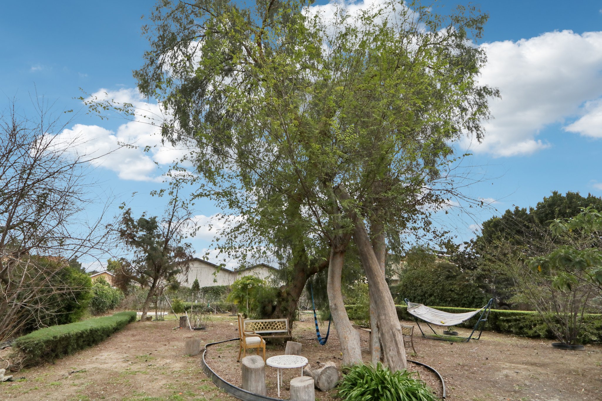 Ingomar St-S1102-009.jpg