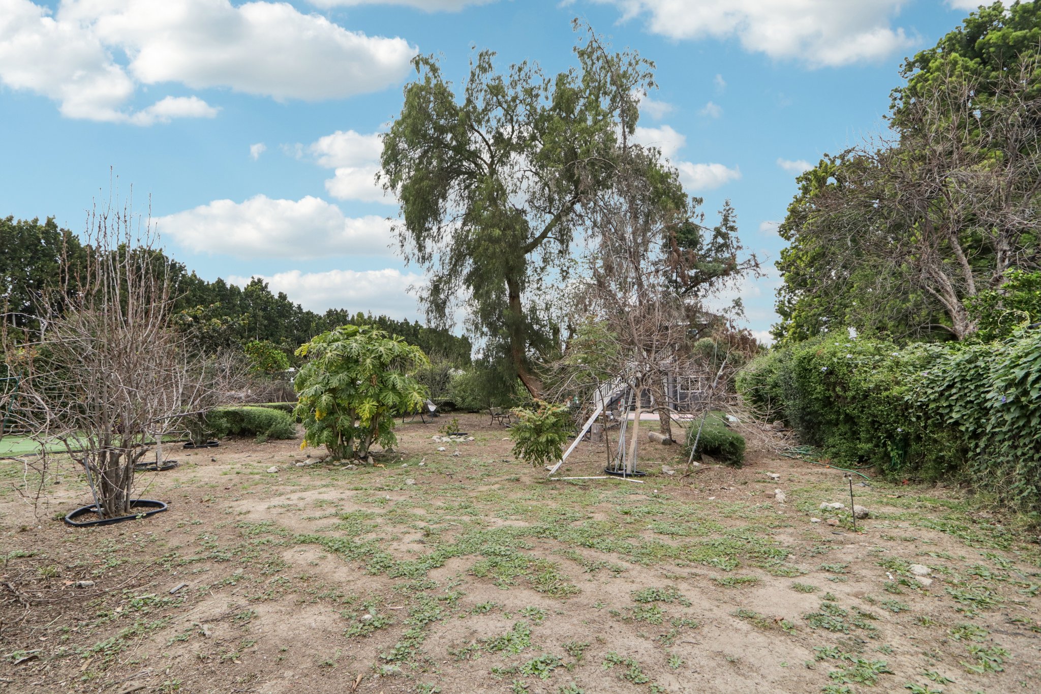 Ingomar St-S1102-010.jpg