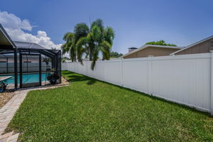 Backyard2