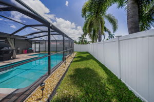 Backyard3