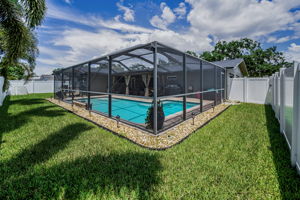 Backyard4