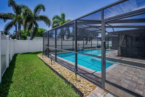 Backyard5