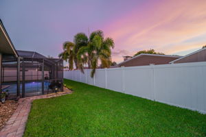 Backyard21