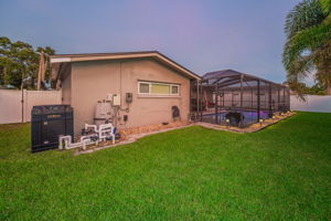 Backyard22