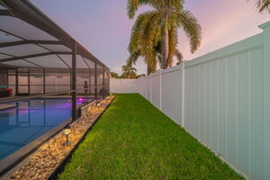 Backyard23