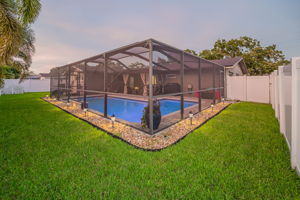 Backyard24
