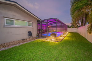 Backyard26