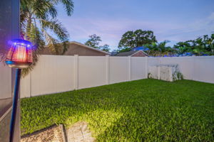 Backyard40