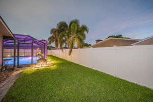 Backyard41