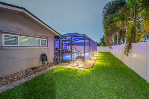 Backyard42