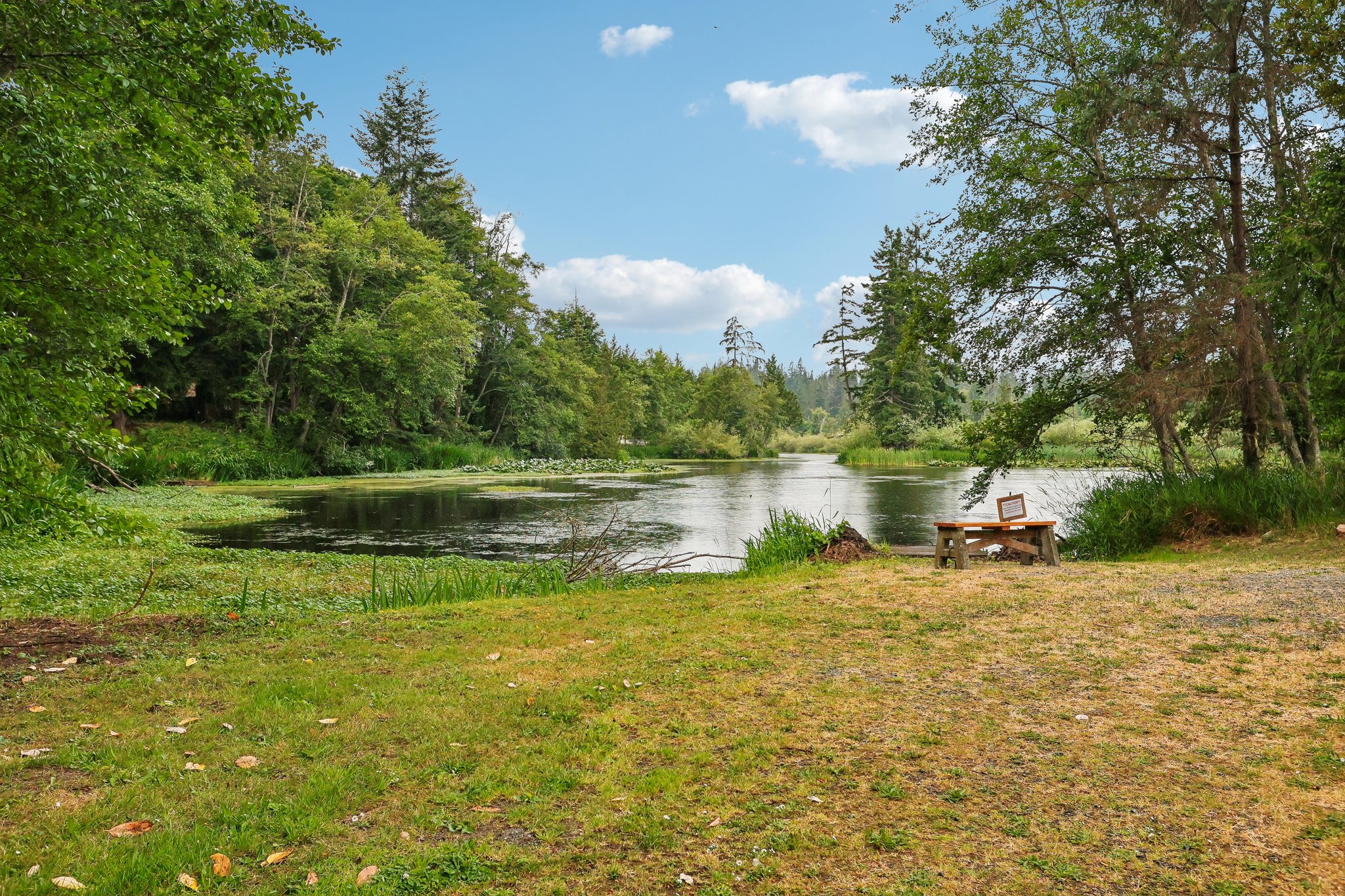 Lake Dr-0307-903.jpg