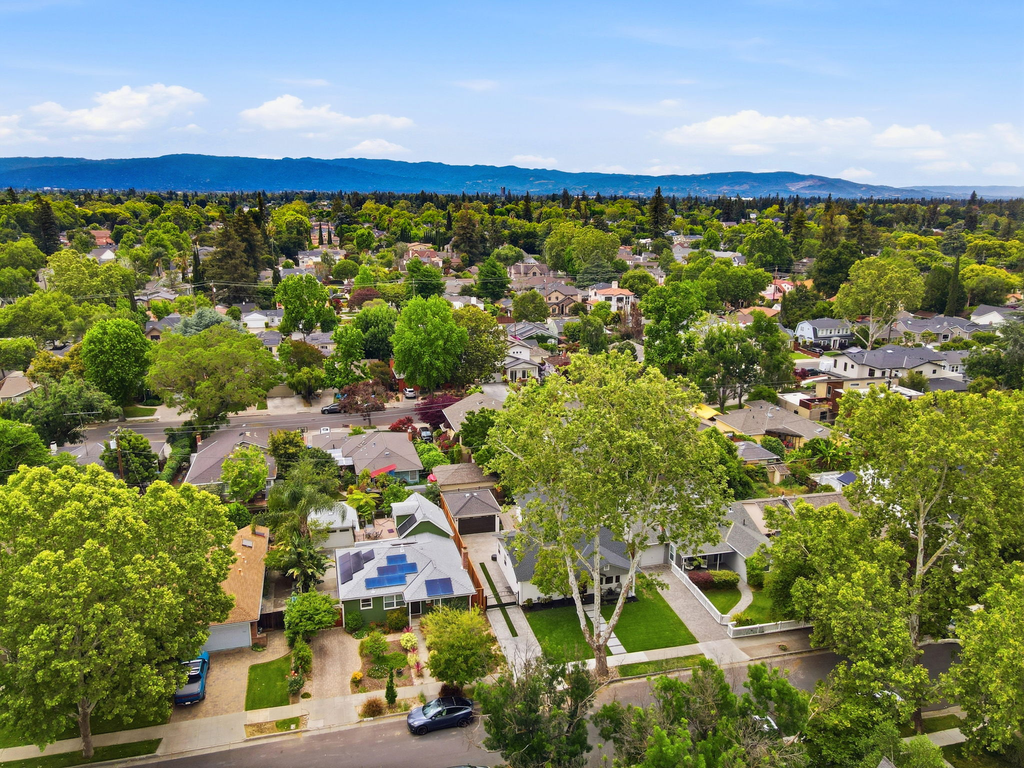 005_f8_AERIAL_1835 Ellen Ave