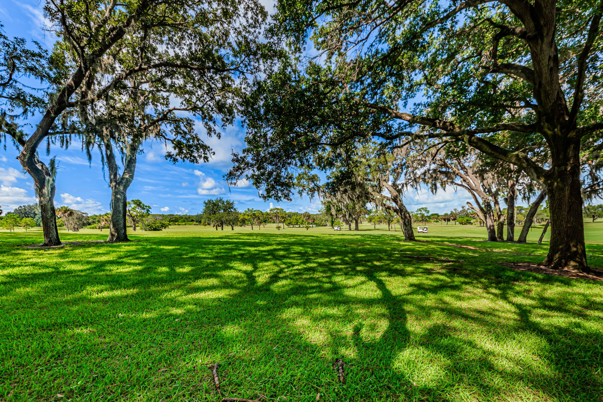 Backyard and Golf Course View4