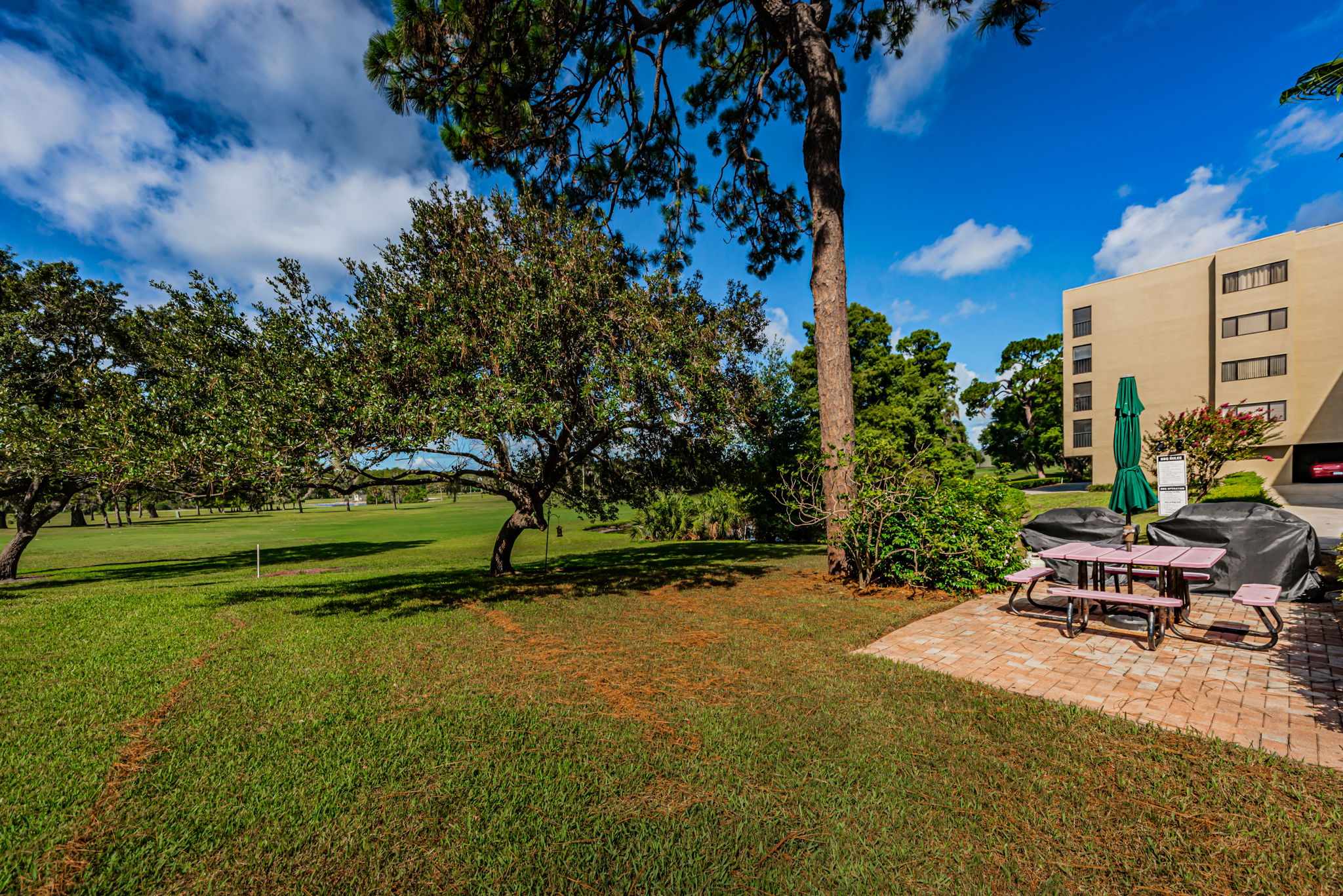 Picnic and Grilling Area1