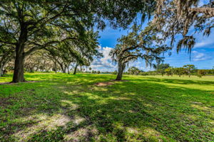 Backyard and Golf Course View3