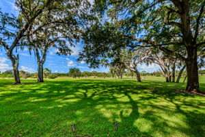 Backyard and Golf Course View4