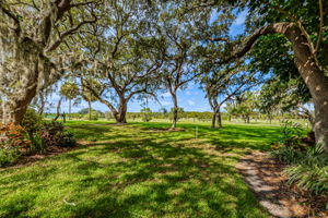 Backyard and Golf Course View6