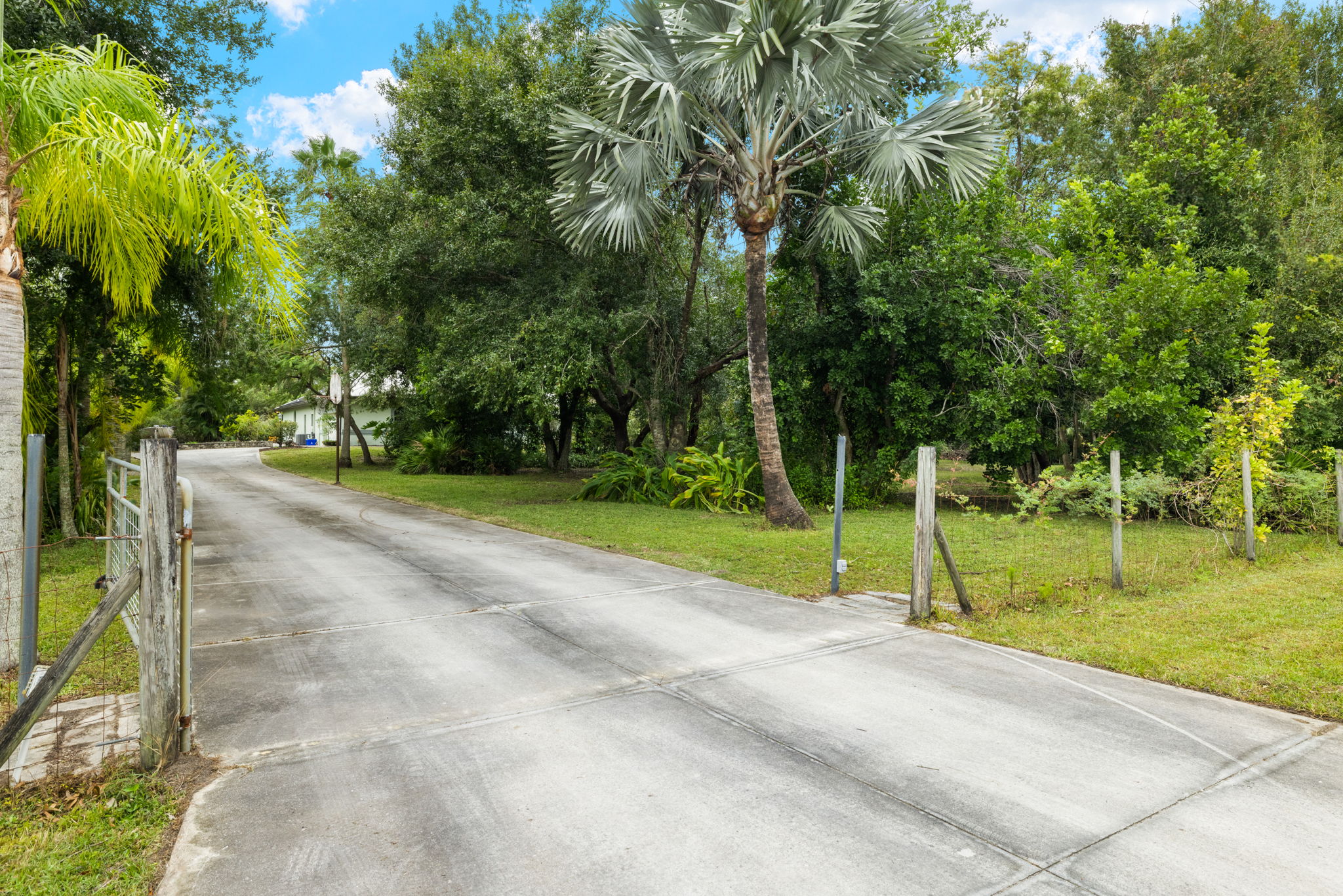 Driveway 1