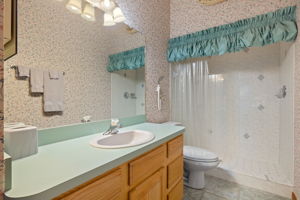 Guest Bathroom 2