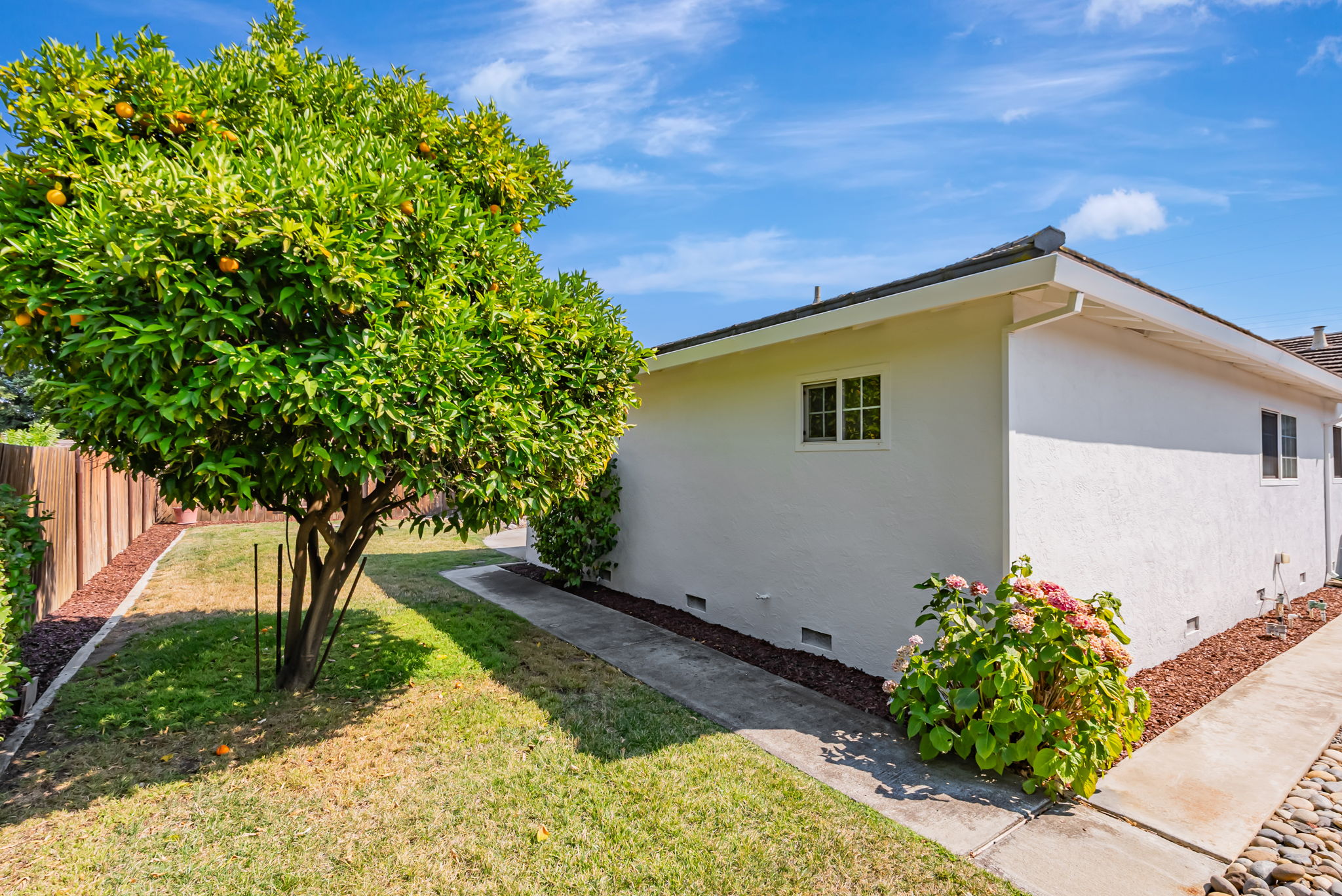 043_1836 Boxwood Dr