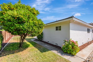 043_1836 Boxwood Dr