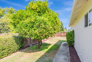 044_1836 Boxwood Dr
