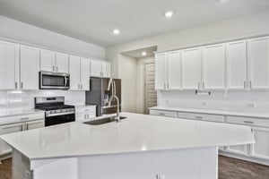 Flying Horseshoe Bnd-015.jpg
