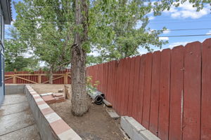  Photo 38