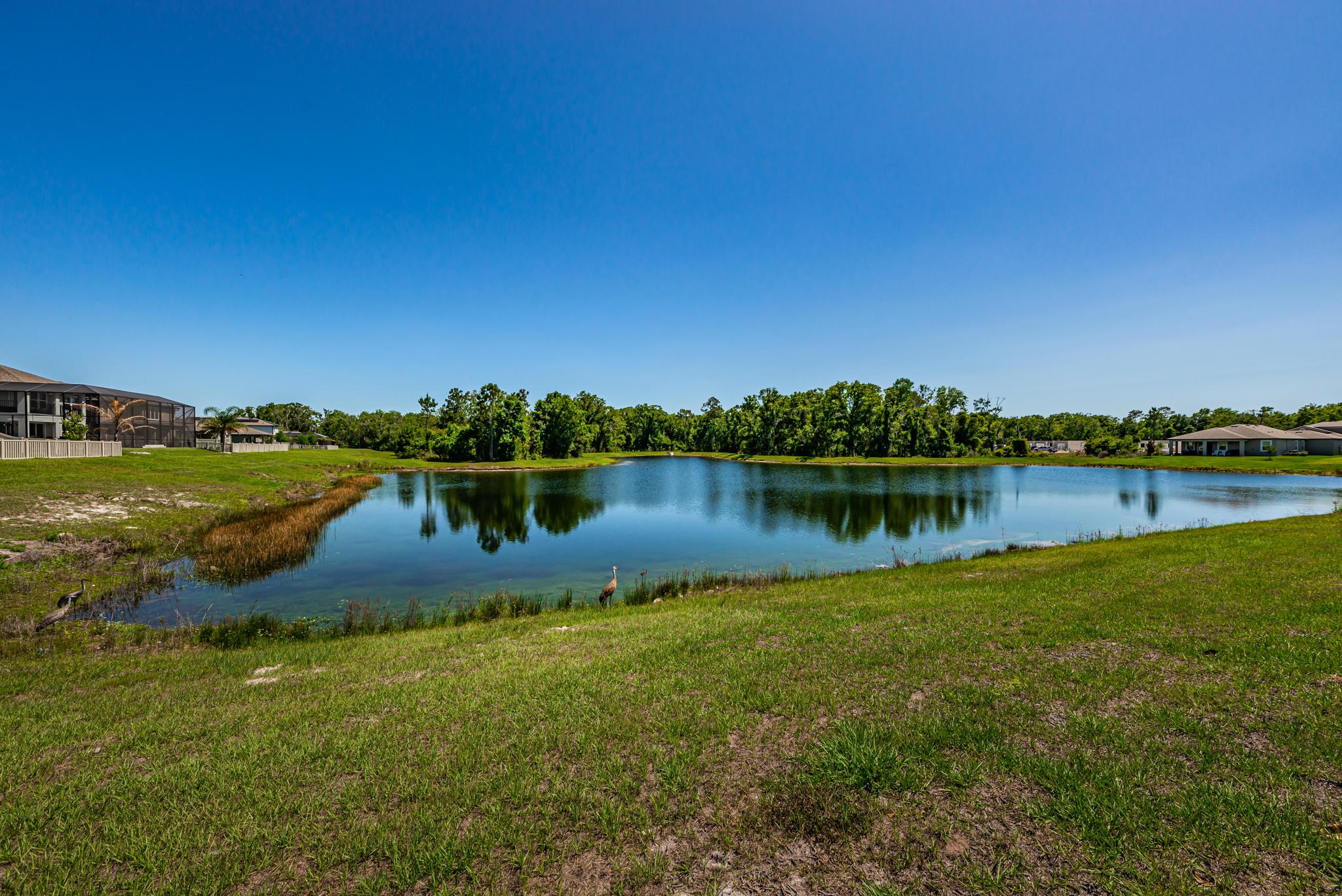 Pond View1