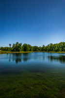 Pond View3