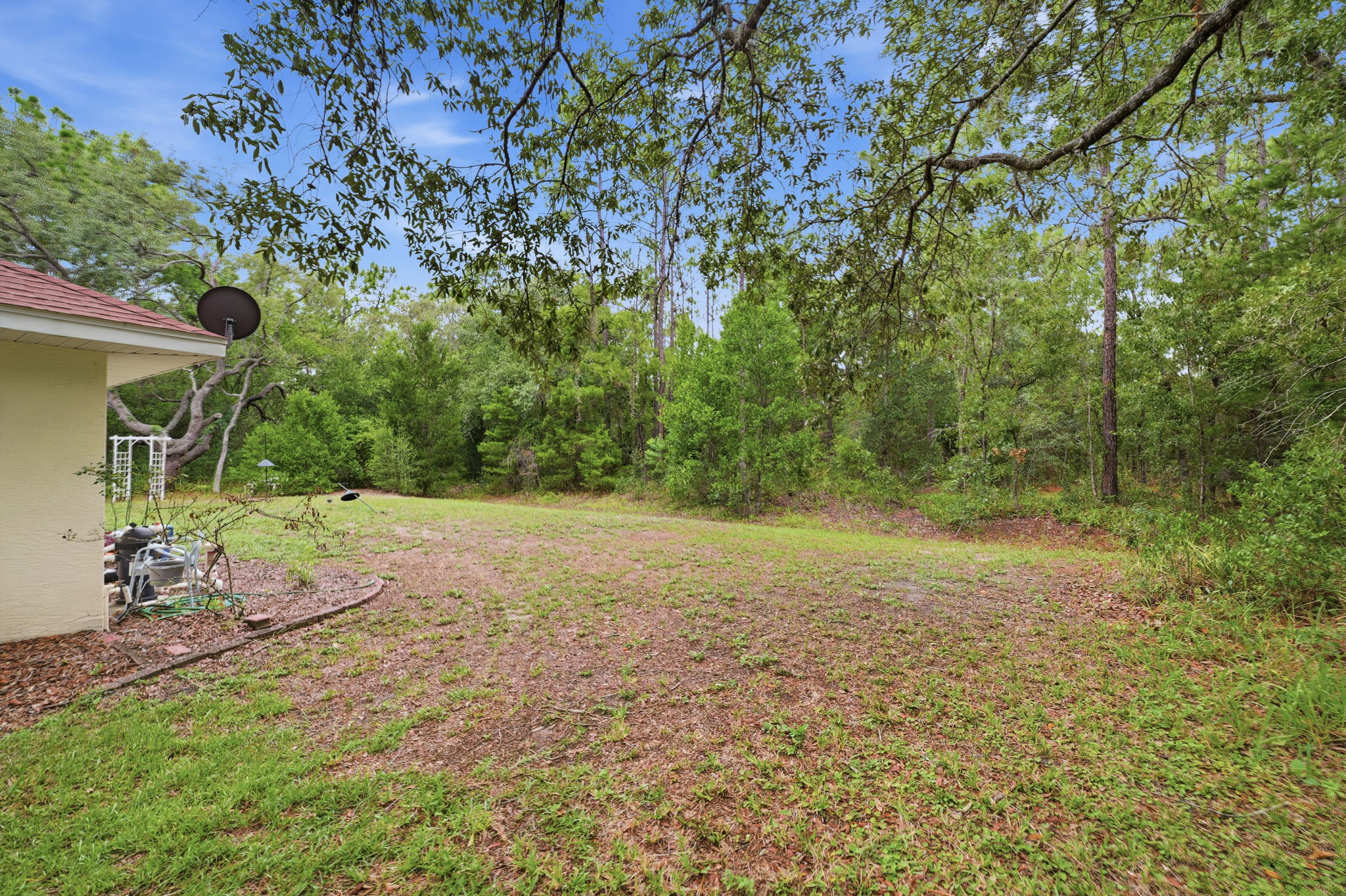  Photo 58