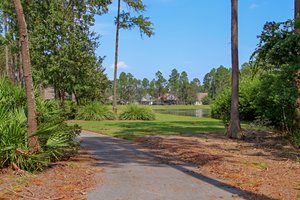 Osprey Cove