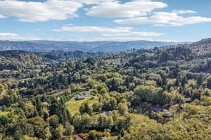 Trout Lakes Rd-S0110-058.jpg