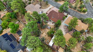 Birds Eye