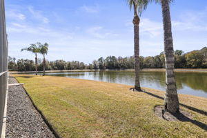 Backyard Water - 495A5114