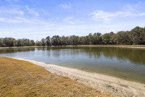 Backyard Water - 495A5121