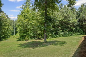  Photo 37