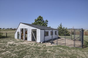 Greenhouse/Chicken Coop