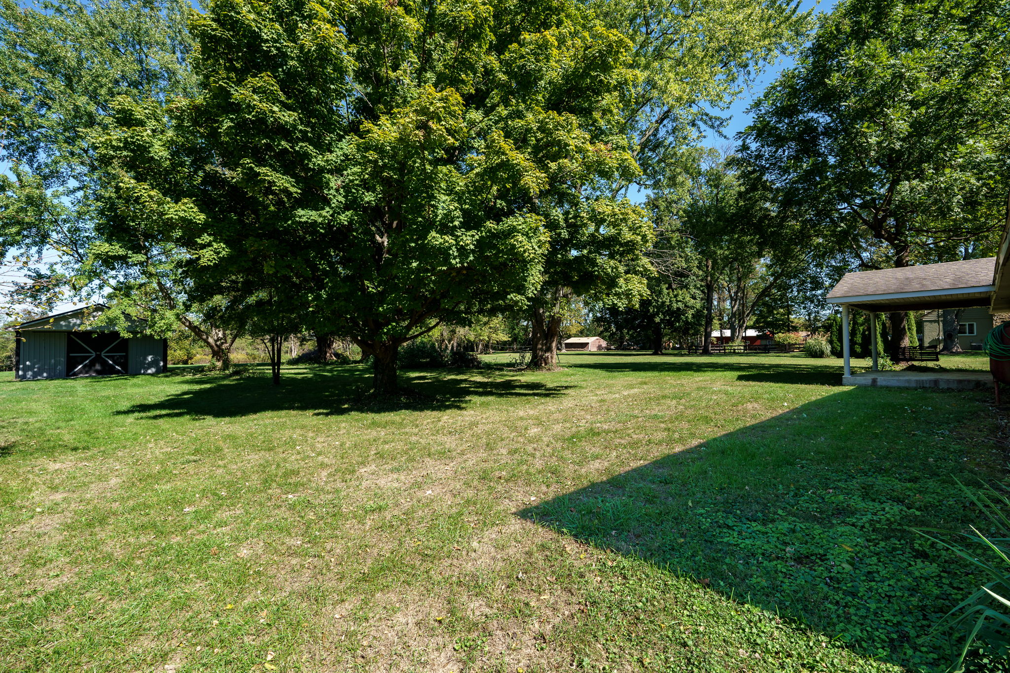  Photo 41