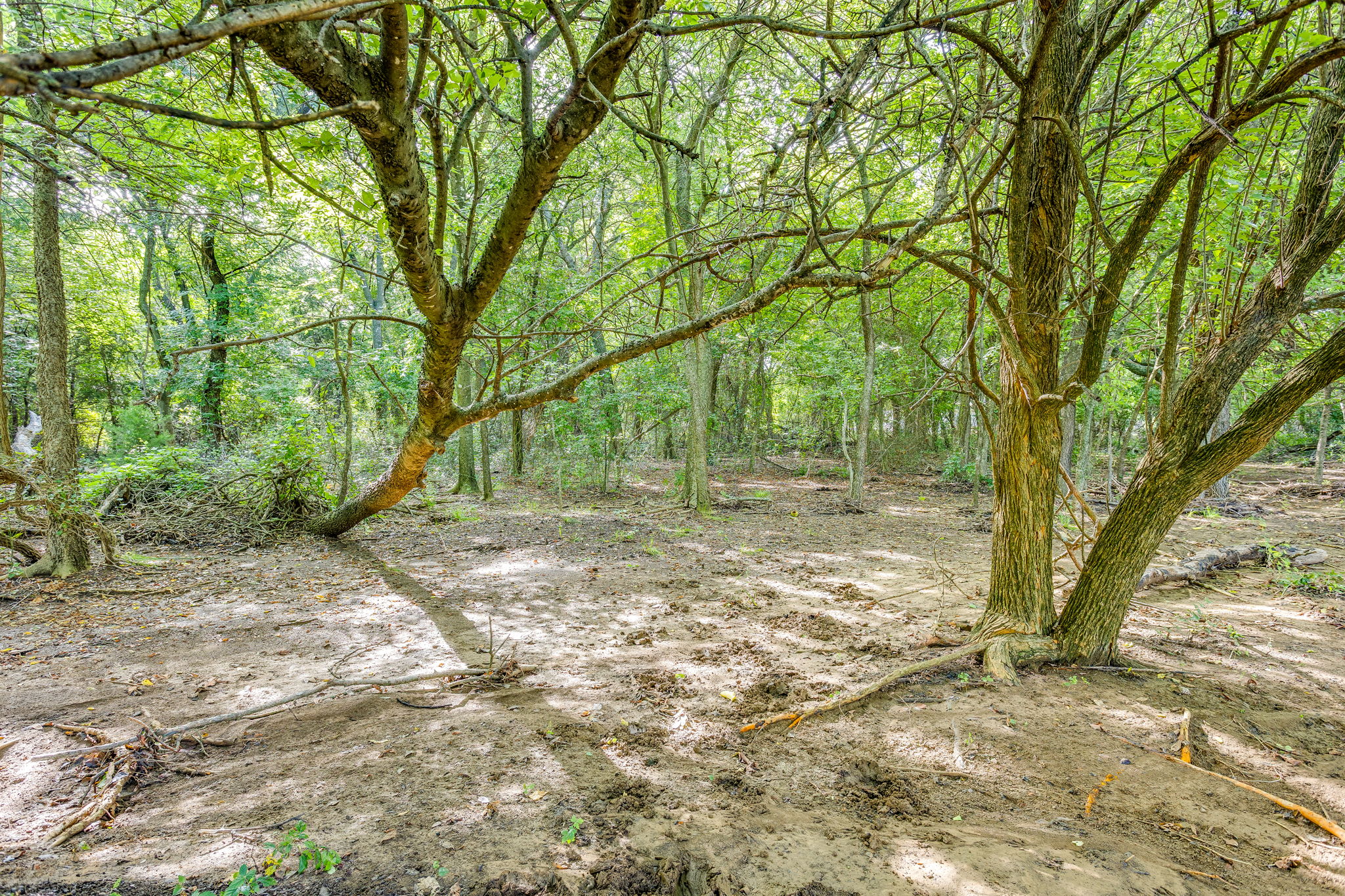  Photo 35