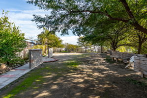  Photo 31