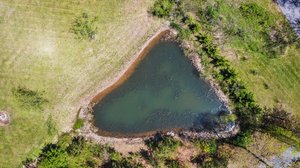 Pond on property
