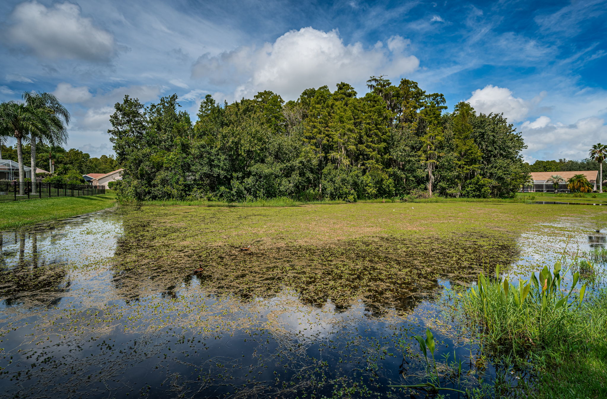 Backyard Water View1