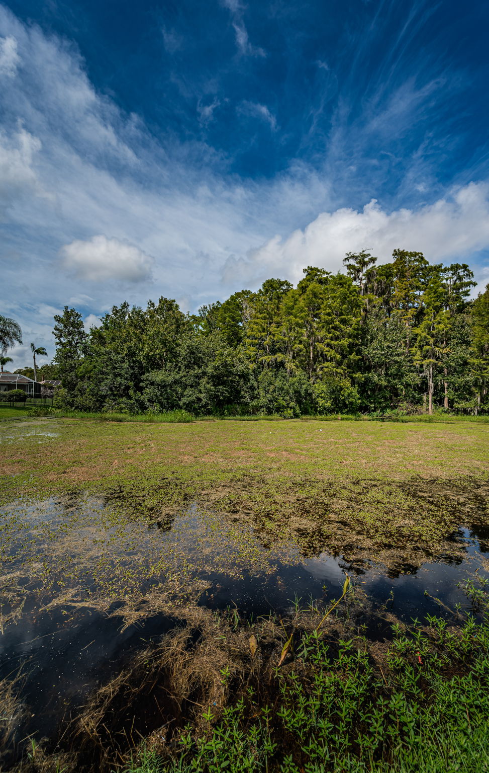 Backyard Water View2