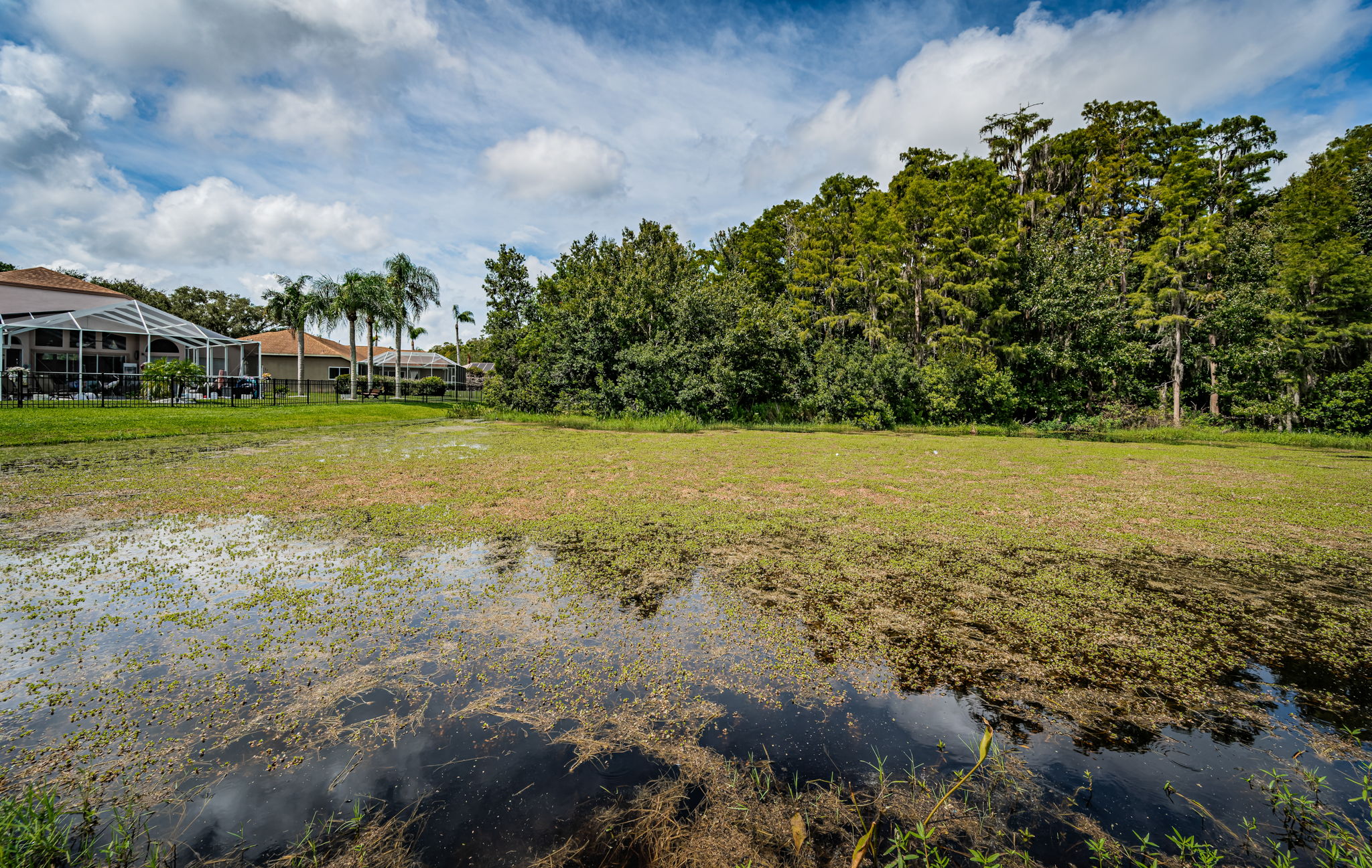 Backyard Water View3